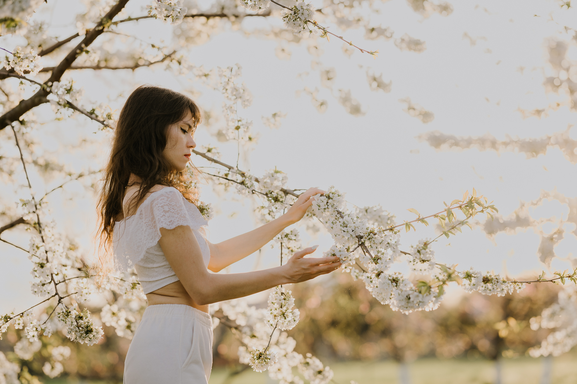 Portret kobiety w białym ubraniu pośród kwitnących drzew owocowych i zachodzącego słońca, sesja fotograficzna wiosenna w sadzie pod Krakowem