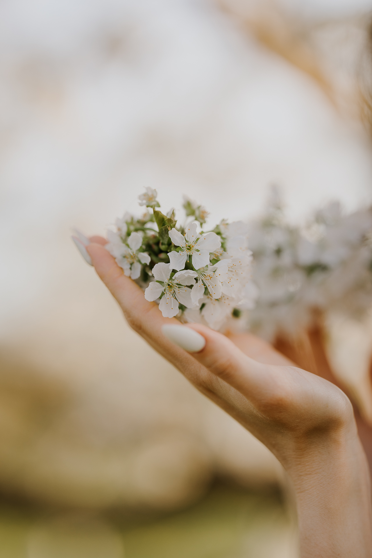 Detal z kobiecej sesji fotograficznej w sadzie, delikatne kwiaty jabłoni i dodatki, fotografia plenerowa Małopolska