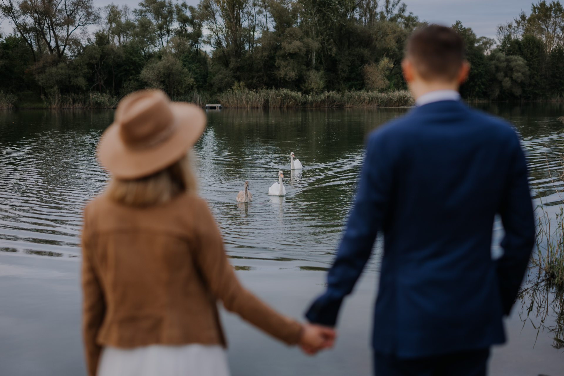 państwo młodzi patrzą na płynące łabędzie w Przylasku Rusieckim