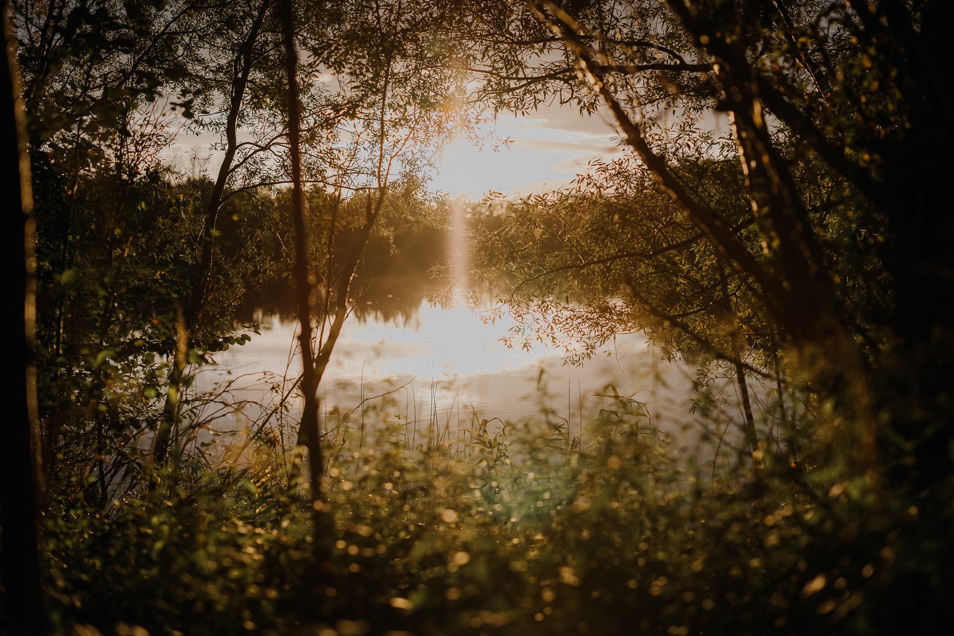 Zachodzące słońce w Przylasku Rusieckim