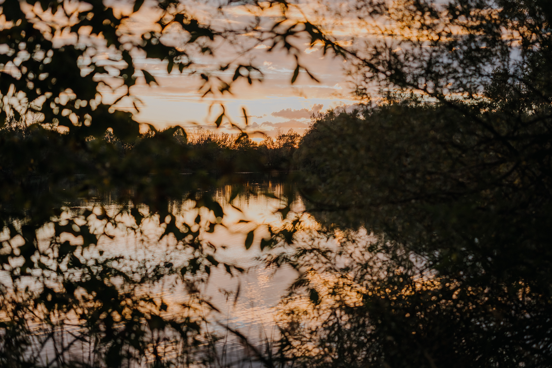 Zachodzące słońce w Przylasku Rusieckim