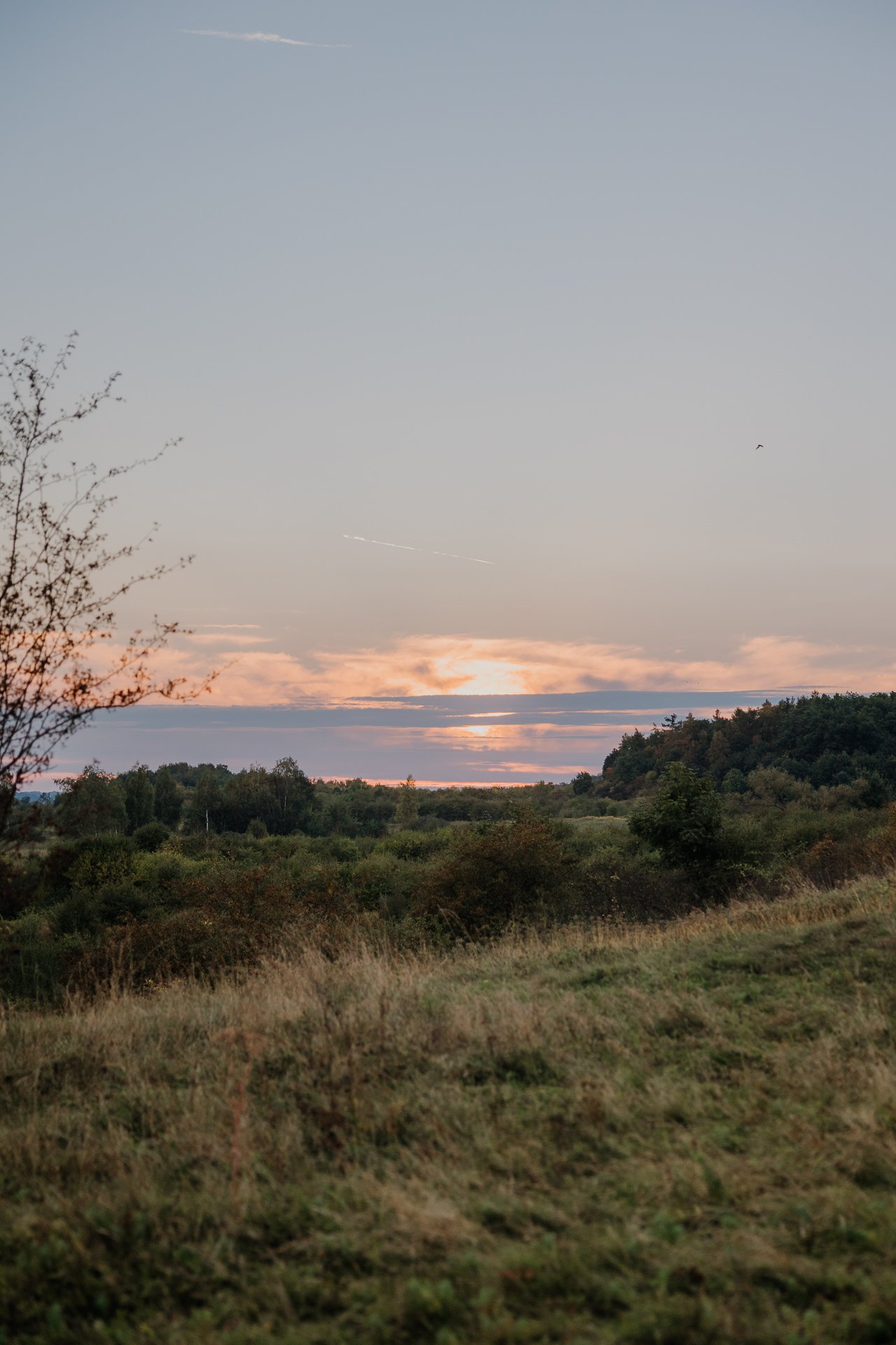 Krajobraz Krakowa w okolicy Ruczaju