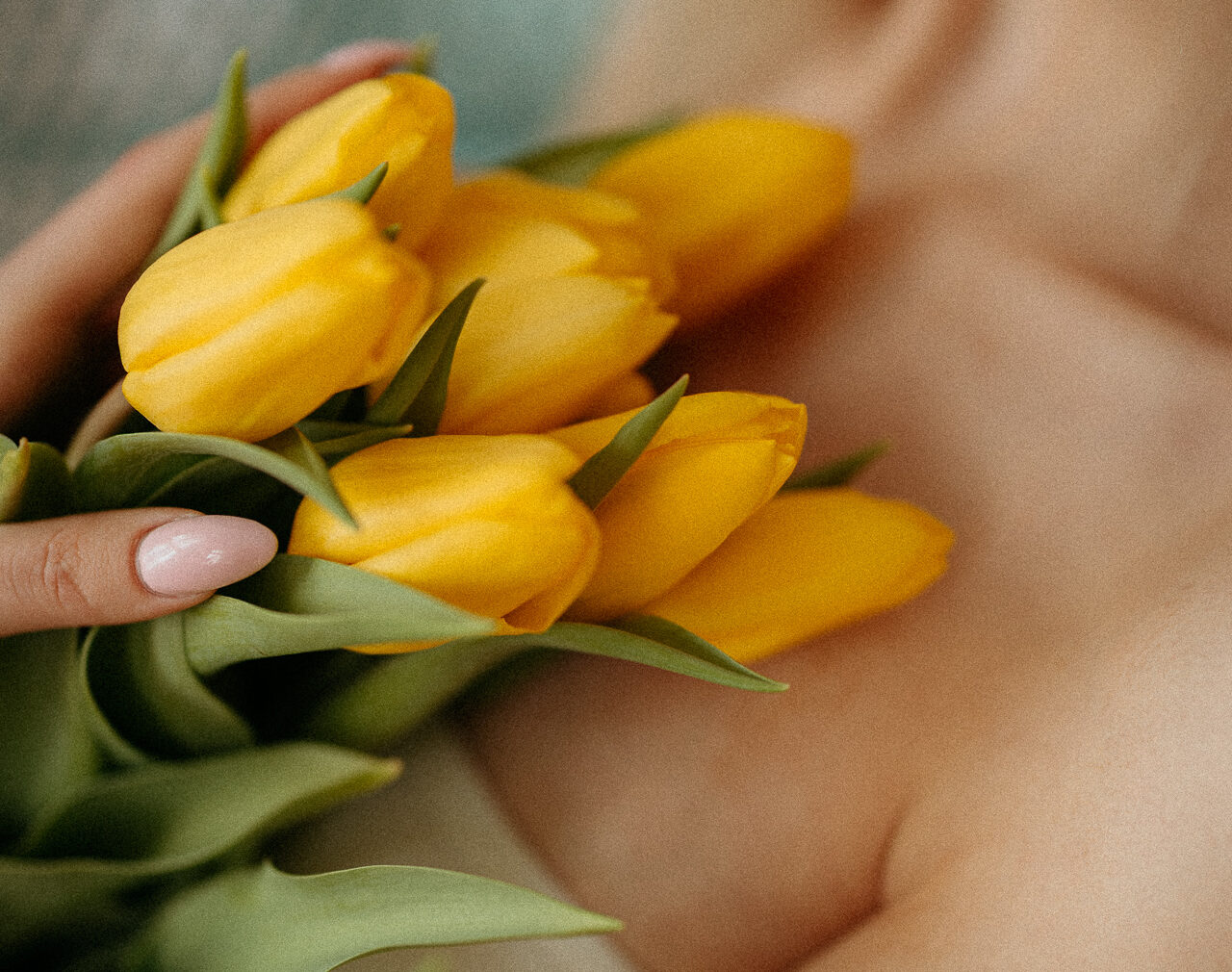 kobieta trzyma tulipany na dekolcie, sesja kobieca w Krakowie, Basztowa Atelier