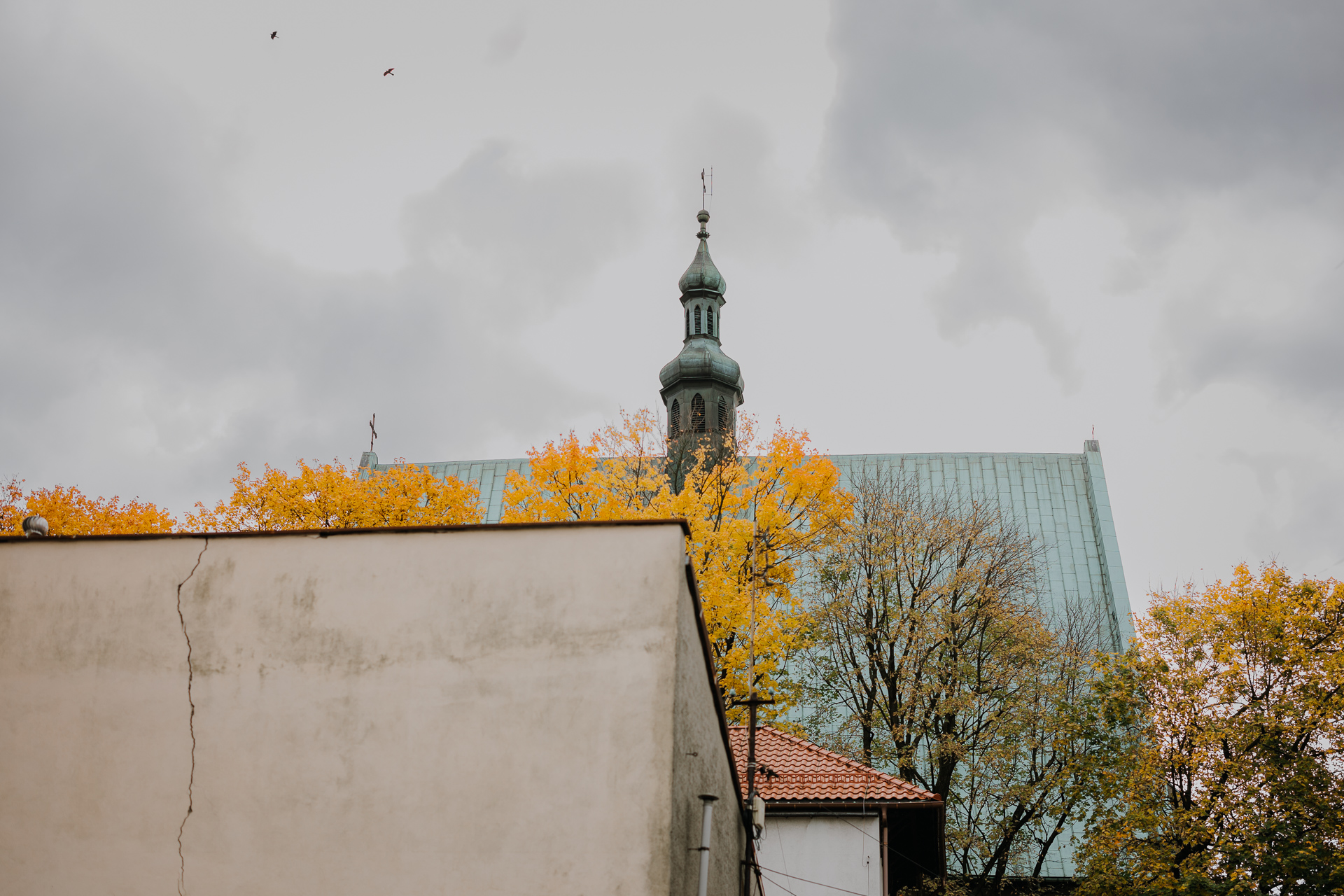 Bazylika Św. Andrzeja Apostoła w Olkuszu