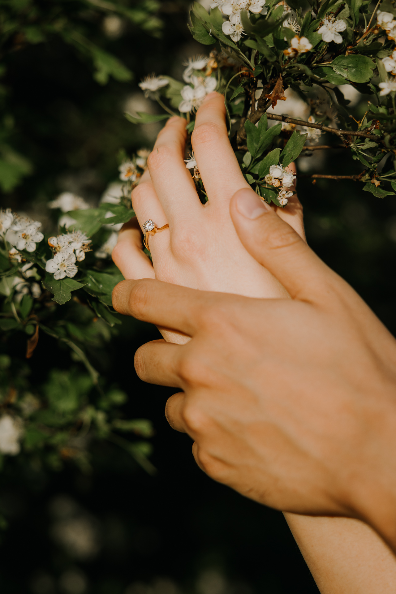 Zbliżenie na pierścionek zaręczynowy podczas wiosennej sesji narzeczeńskiej