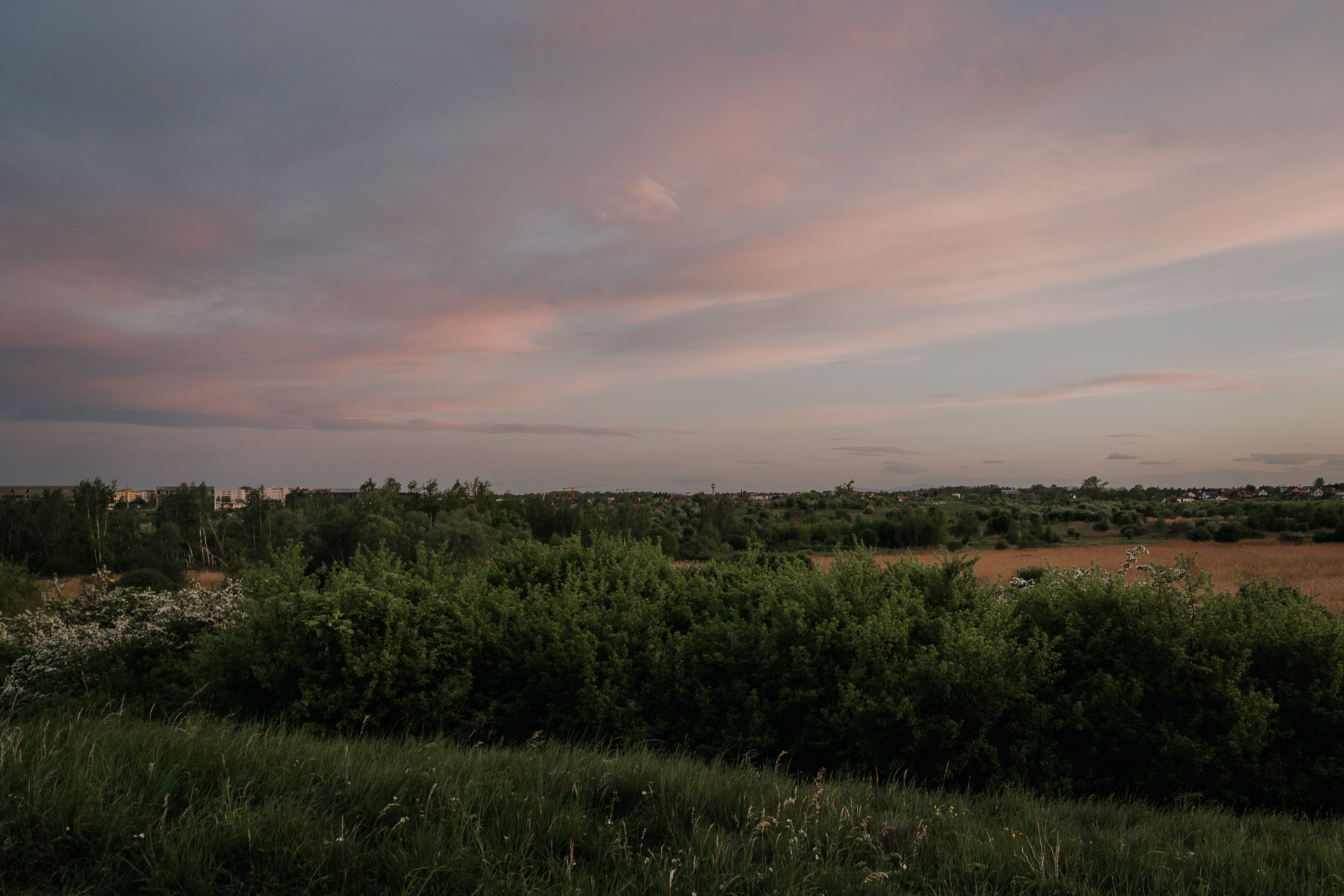 Górka Pychowicka o zachodzie słońca, plener fotograficzny, Kraków południe