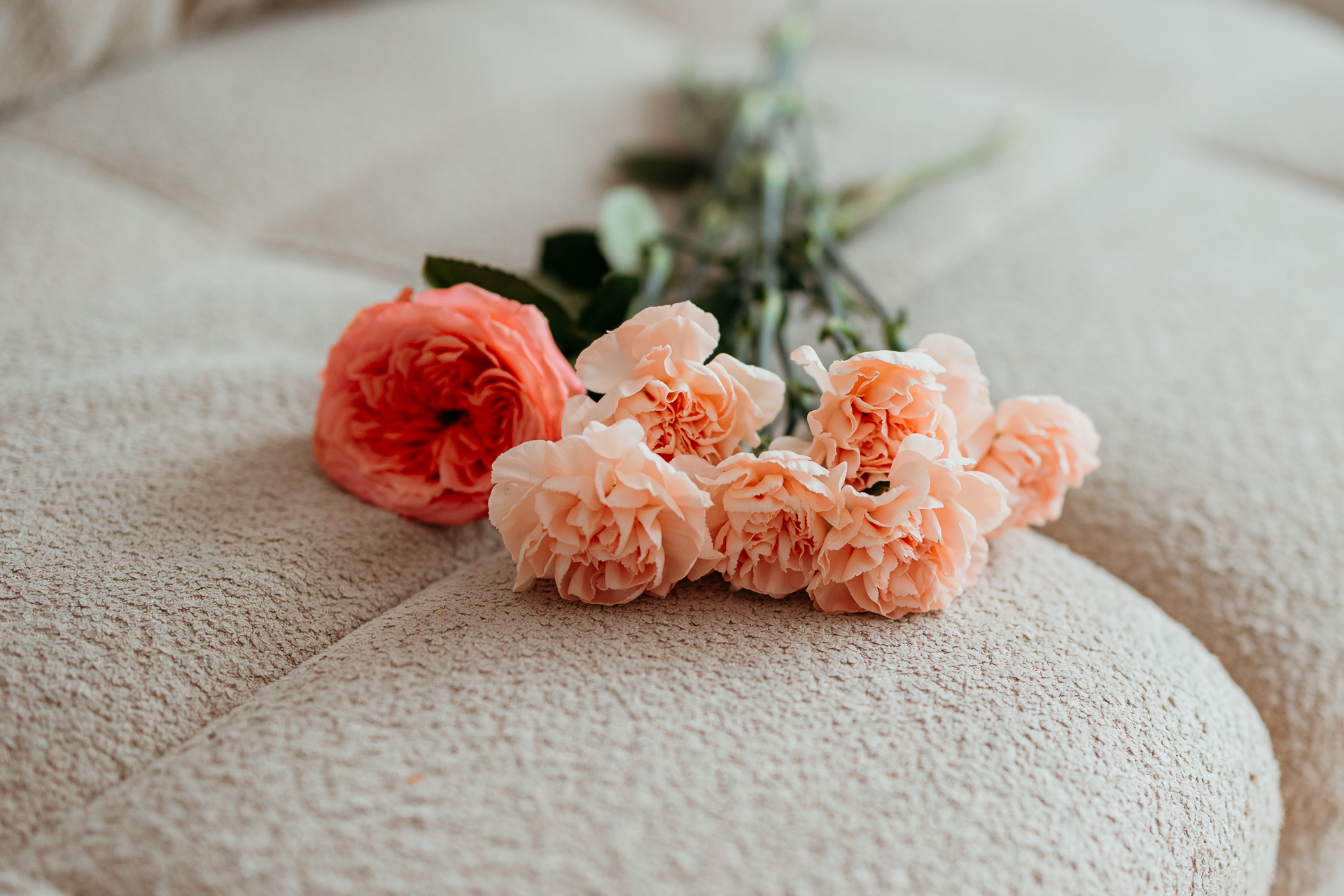 Róże leżą ma sofie